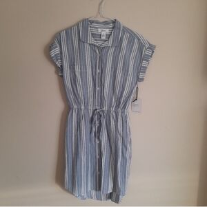 Japna Blue and White Striped Dress